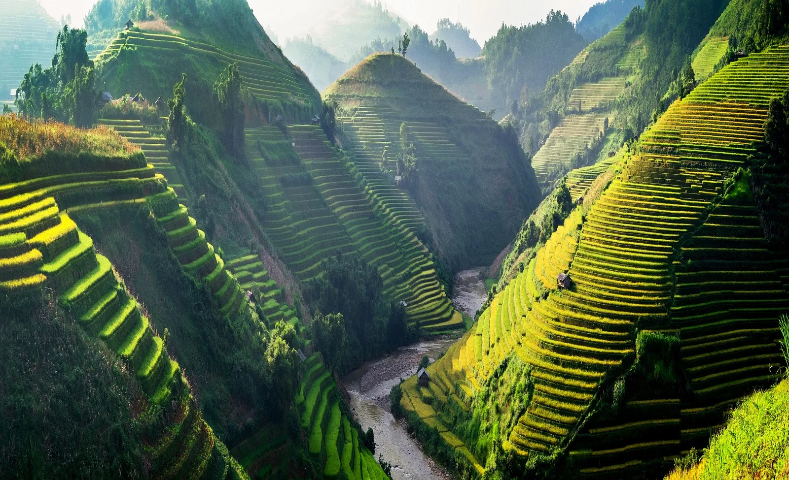 Rice fields on terraced in Northwest of Vietnam