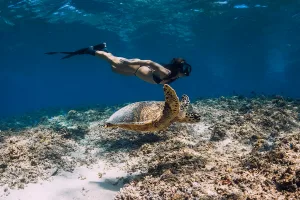 Snorkeling Candidasa